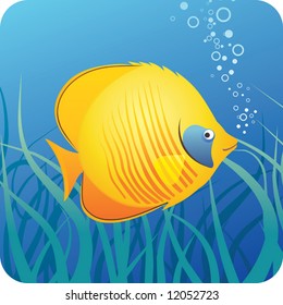 Tropical butterfly fish under water