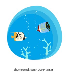 Tropical butterfly fishes on blue background. Vector illustration