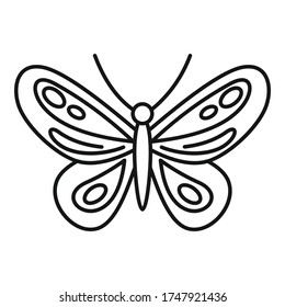 Tropical butterfly icon. Outline tropical butterfly vector icon for web design isolated on white background