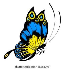Tropical butterfly are isolated on a white background