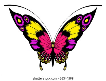 Tropical butterfly are isolated on a white background.vector