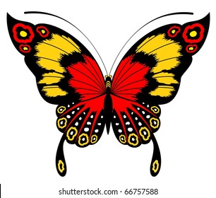 Tropical butterfly are isolated on a white background