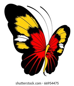 Tropical butterfly is isolated on a white background