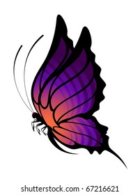 Tropical butterfly is isolated on a white background