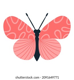 Tropical butterfly moth with multicolored wings and antennae isolated on a white background. Flying moth top view. An exotic spring insect. Vector illustration flat style