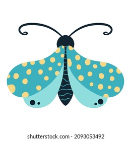 Tropical butterfly moth with multicolored wings and antennae isolated on a white background. Flying moth top view. An exotic spring insect. Vector illustration flat style