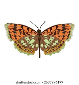 Tropical butterfly on a isolated background. For decorating postcards, invitations, textiles. Vector illustration.