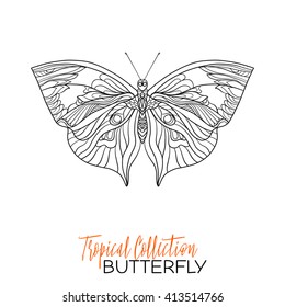 Tropical butterfly. Vector illustration. Coloring book for adult and older children. Coloring page. Outline drawing.