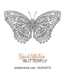 Tropical butterfly. Vector illustration. Coloring book for adult and older children. Coloring page. Outline drawing.