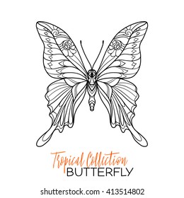 Tropical butterfly. Vector illustration. Coloring book for adult and older children. Coloring page. Outline drawing.