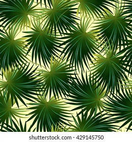 Tropical cabbage palm leaf in a seamless pattern .