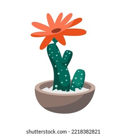 Tropical cactus with blooming flower in pot isolated on white background. House plant cartoon vector illustration set. Florarium, terrarium, botanical interior concept