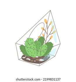 Tropical cactus or succulent in geometric glass florarium. Vector illustraton.