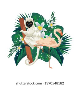 tropical capuchin monkey and flemish bird with leafs palms