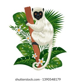 tropical capuchin monkey with leafs palms