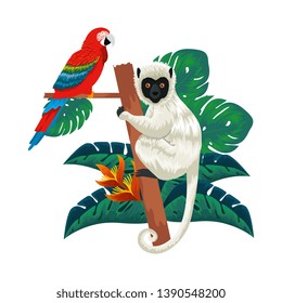 tropical capuchin monkey and parrot in leafs palms