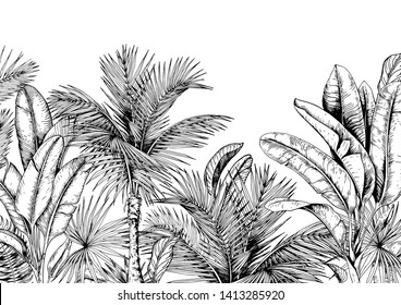 Tropical card with palm trees and banana leaves. Black and white. Hand drawn vector illustration.