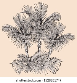 Tropical card with sketchy palm trees and leaves. Oasis scenery. Hand drawn vector illustration isolated on beige background.