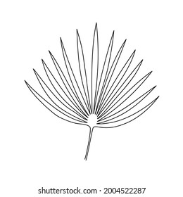 Tropisches Kamierblattblatt mit einer Linie. Blumenskizze. Minimaler Druck. Vektorgrafik.