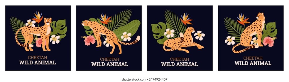 Tropical cheetah series. Vector illustration set featuring cheetahs in various poses with lush flora, perfect for wildlife and botanical themes.