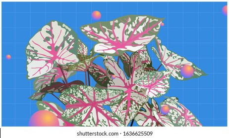 Tropical Chinese evergreen plant, detail flat style illustration - vaporwave vibe, summer nostalgic background design template