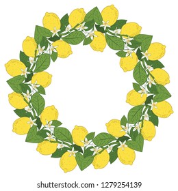 Tropical citrus lemon fruits with flowers round frame. Summer colorful background for advertising, packaging design. Vector illustration.