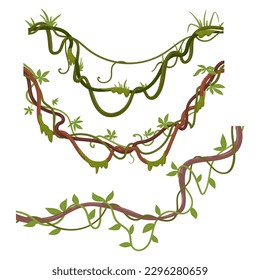 Tropical climbing creepers. Cartoon jungle liana plants, exotic creeper with moss. Jungle rainforest liana vines vector illustration set