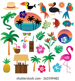 Tropical Clip art