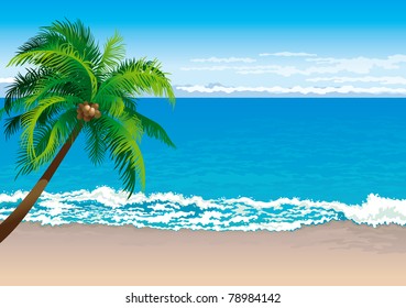 Tropical coast. Vector illustration  of coconut palm tree on a beach - Horizontal format