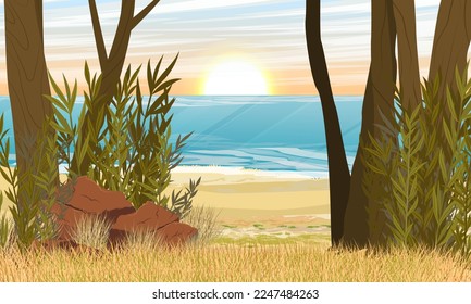 Tropical coastline. Australia and New Zealand. Realistic vector landscape