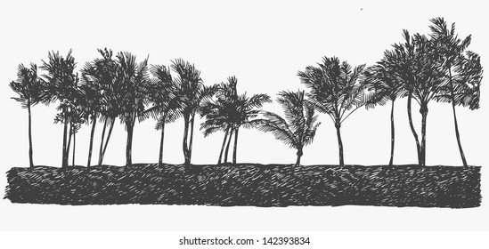tropical coast.vector illustration. drawing style.  