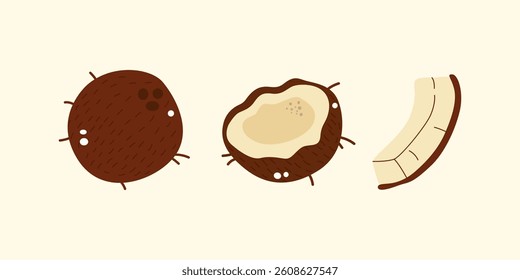 Tropical coconut clipart. Set of whole coconut and slices. Fresh, juicy and organic tropical fruits. Fruits vector illustration in cartoon retro style