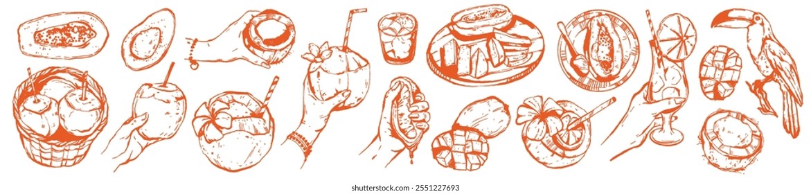 Conjunto de coquetel de coco tropical, desenhado à mão exótico prato de frutas verão férias vetor tinta ilustração. Mamão fresco, manga, impressão de abacate, aloha Hawaii bar menu design object. Clipart de coco tropical