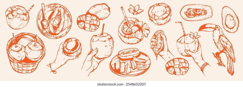 Conjunto de coquetel de coco tropical, vetor exótico prato de frutas verão férias mão desenhada tinta ilustração. Mamão fresco, manga, impressão de abacate, aloha Hawaii bar menu design object. Clipart de coco tropical