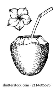 Tropical coconut coctail Hand drawn vector illustration Cold summer drink.