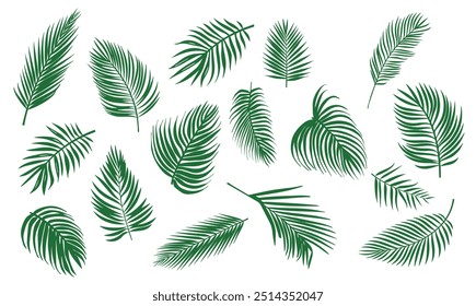Conjunto de vetores de folhas de coco tropicais