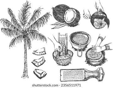 Tropical Coconut Milk Making Illustration