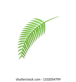 Tropical coconut palm leaf in trandy paper cut style. Craft summer jungle plant isolated on white background for package design, T-shirt printing. Vector card illustration in papercutting art style.