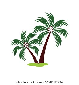 Tropical coconut palm tree, coco tree vector illustration