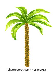 Tropical coconut palm tree with green leaves vector illustration. Isolated on white background. Coconut palm tree. Tropical palm. Palm tree. Palm vector. Palm tree isolated. Palm tree vector icon Palm