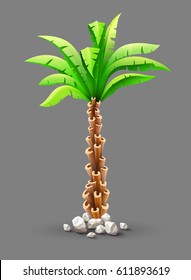 Tropical coconut palm tree plant with green leaves in stones. Nature detail. Coco palm-tree, isolated on gray background. Vector illustration.