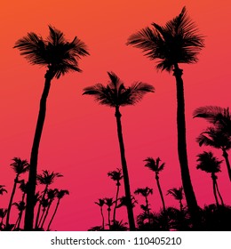 Tropical coconut palm tree silhouettes illustration over a purple sunset sky in vector format.