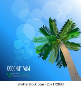 Tropical Coconut Palm Tree vector illustration. Bright & cheerful summer background.  Nature background for invitations & greeting cards, palm & coconut products, cosmetics package labeling, banners. 