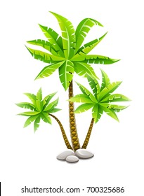 Tropical coconut palm trees, plants with green leaves in stones. Nature detail. Vector illustration of coco palm-tree, isolated on white transparent background.