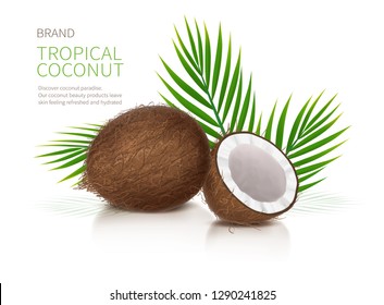 Tropical coconut realistic vector, whole and broken half coco nut and green palm leaves on white glossy background. Mock up banner or packaging design for natural products or organic cosmetics