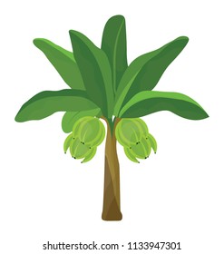 
A tropical coconut tree flat icon design 
