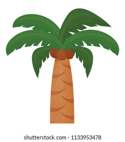 
A tropical coconut tree flat icon design 
