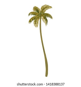 Tropical Coconut Tree Vector Illustration