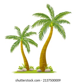 Tropical coconut trees illustration in cartoon style