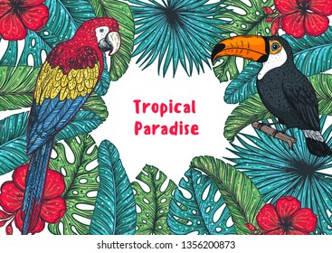 Tropical collection. Tropical design template. Hello summer frame. Toucan and parrot, palm leaves and flowers vector illustration. Summer design.